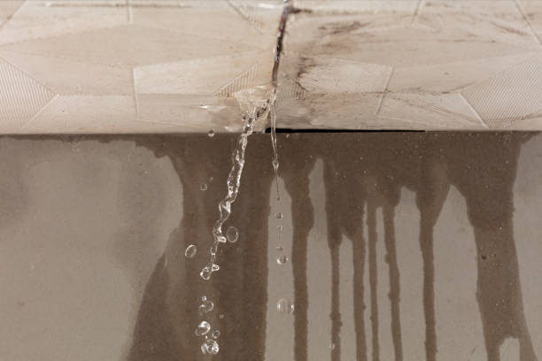 Professional Burst Pipe Cleanup technician working in Rives, TN
